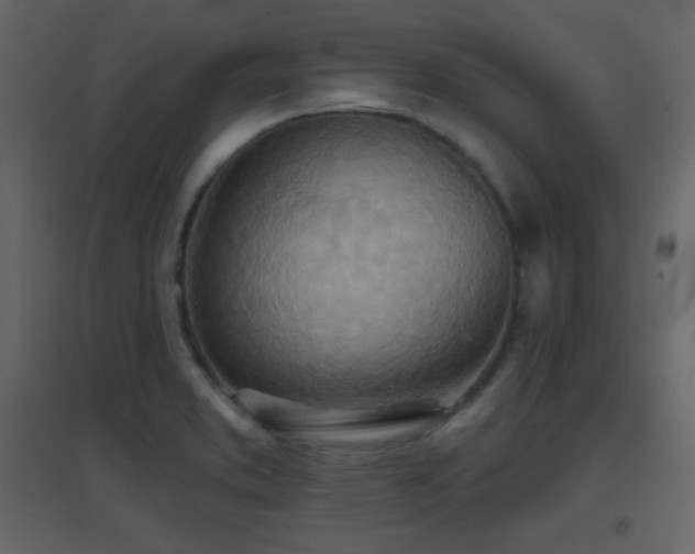 X0000096691373200802051336