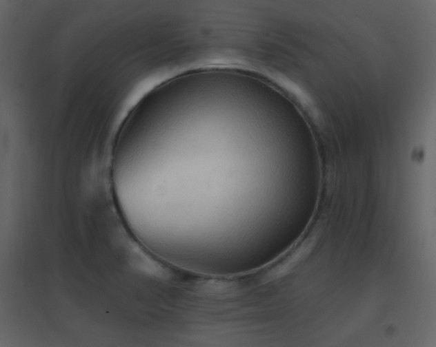 X0000096691374200802051336