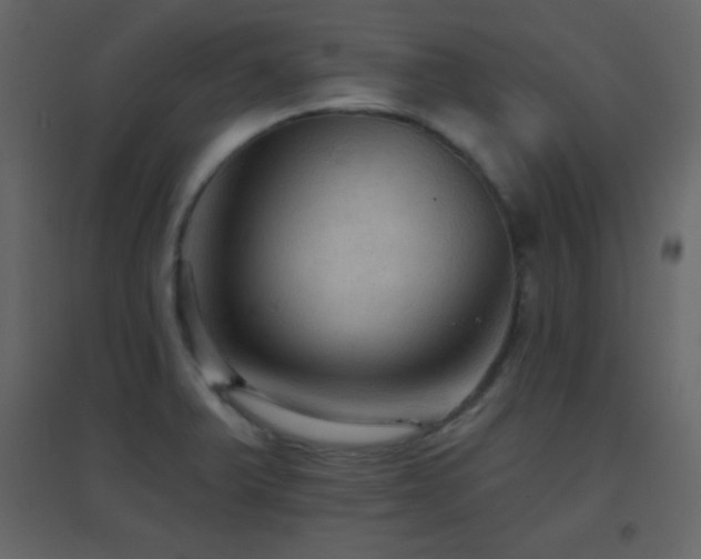 X0000096691375200802051336