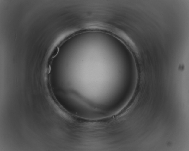 X0000096691376200802051336