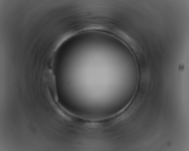 X0000096691377200802051336