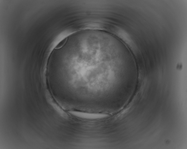 X0000096691378200802051336