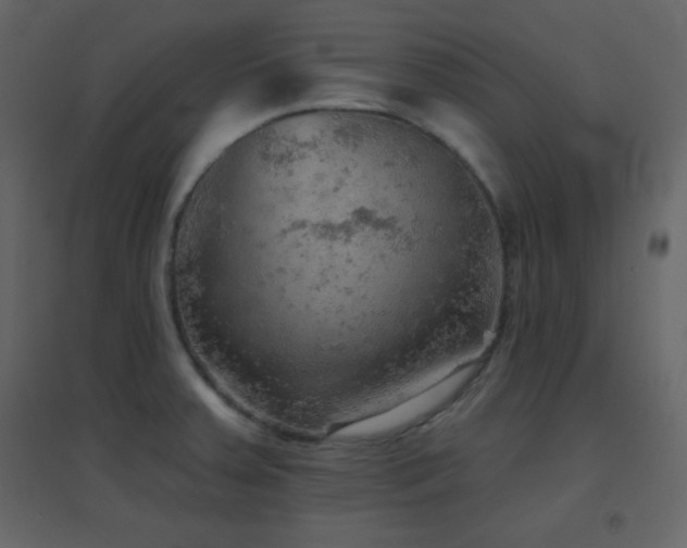 X0000096691379200802051336