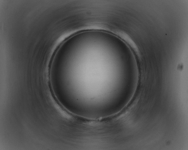 X0000096691380200802051335