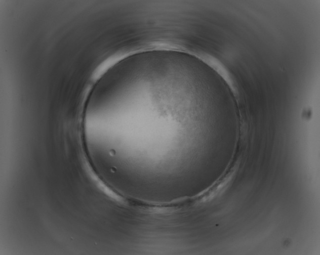 X0000096691381200802051335