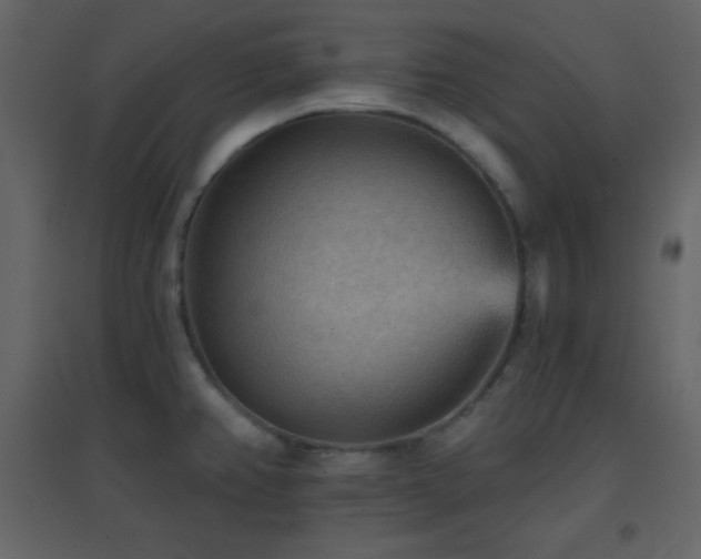 X0000096691382200802051335