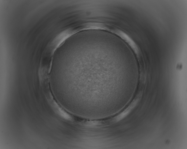 X0000096691385200802051335