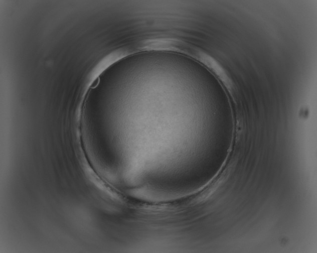 X0000096691386200802051335