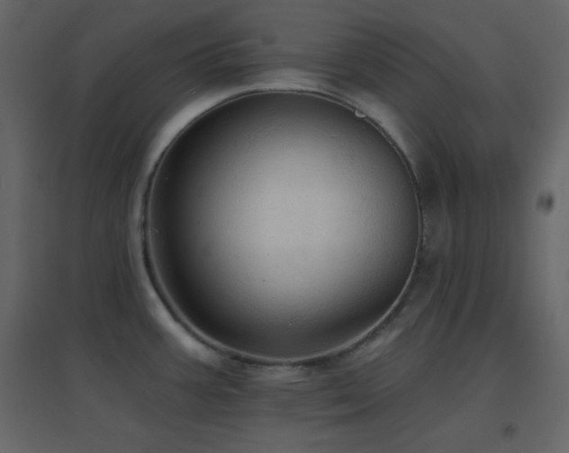 X0000096691387200802051335