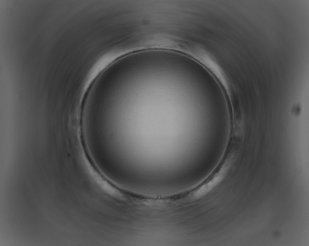 X0000096691389200802051335