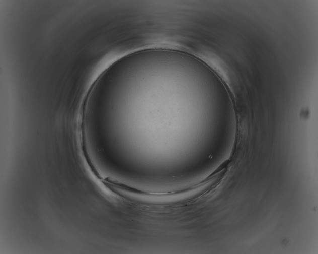 X0000096691391200802051335