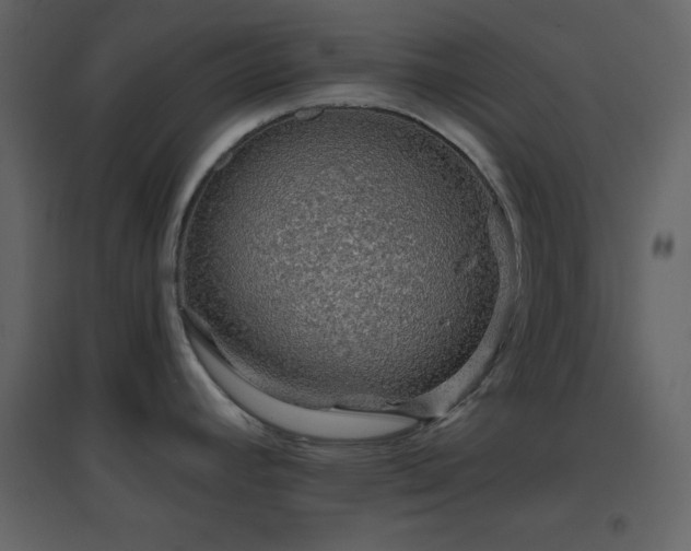 X0000096691392200802051335