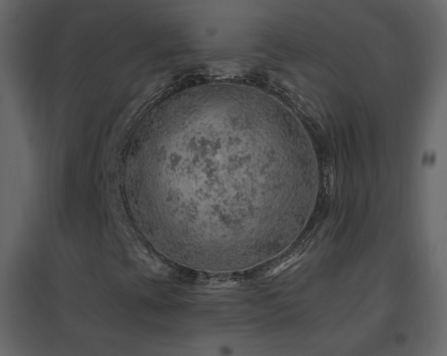 X0000096691393200802051335