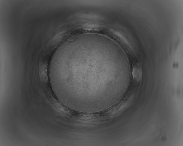 X0000096691396200802051335