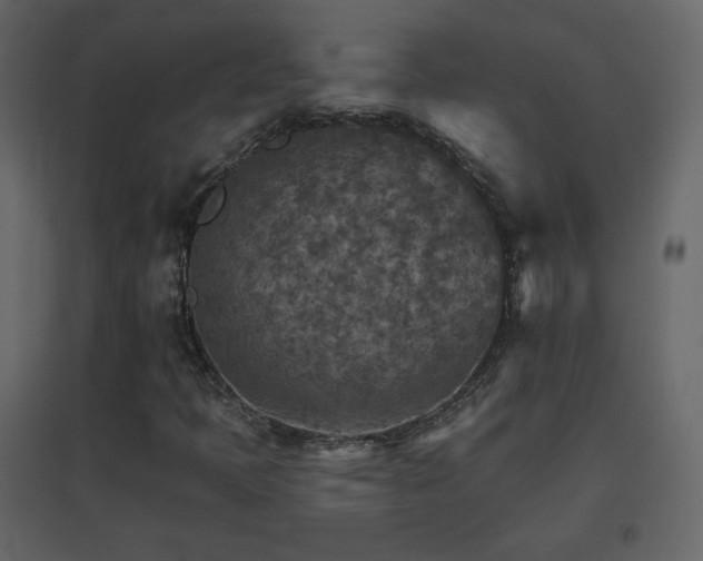 X0000096691397200802051335