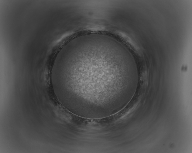 X0000096691398200802051335