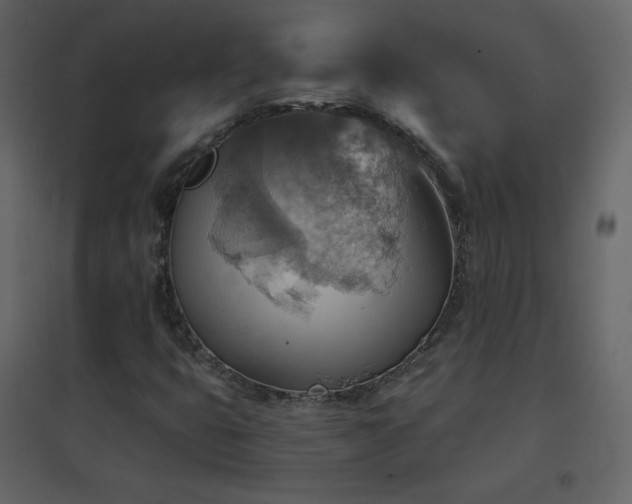 X0000096691399200802051335