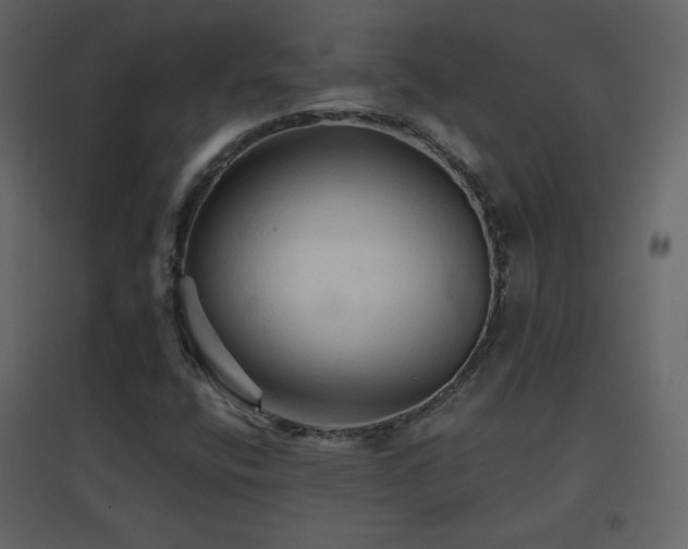 X0000096691400200802051335