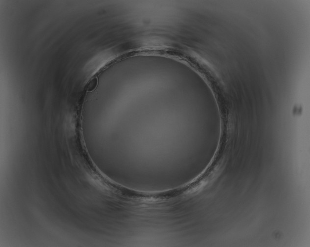 X0000096691401200802051335