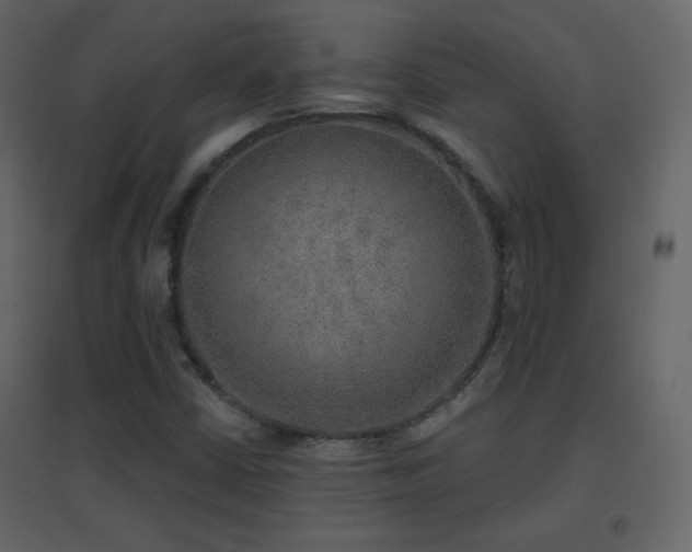 X0000096691402200802051335