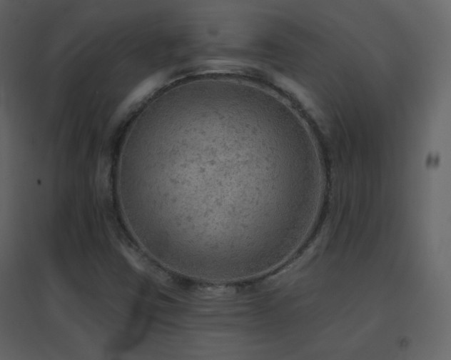 X0000096691403200802051335