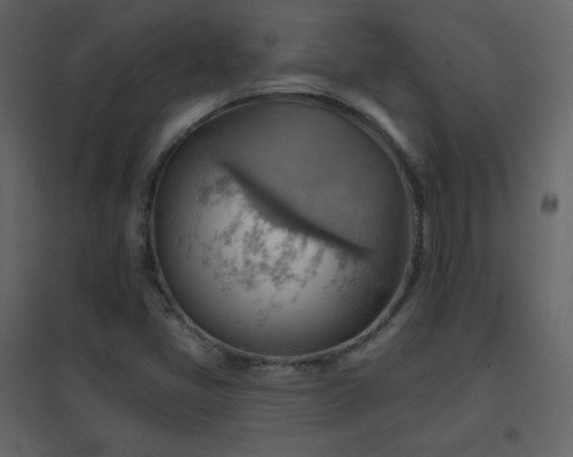 X0000096691405200802051335