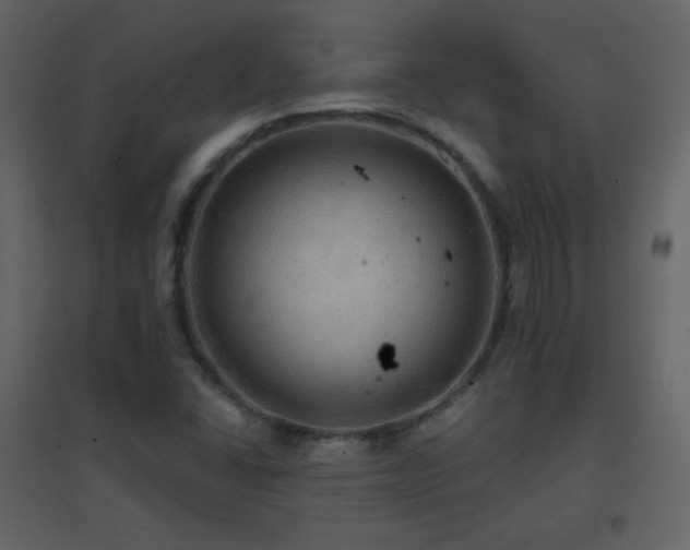X0000096691406200802051335
