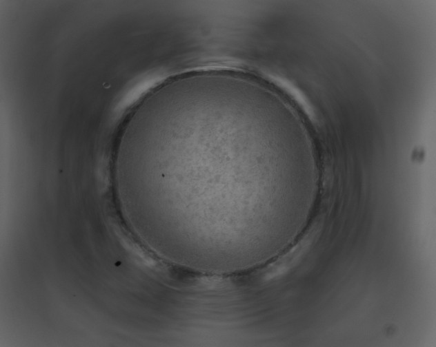 X0000096691407200802051335
