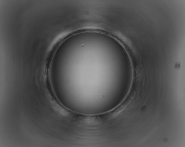 X0000096691408200802051335