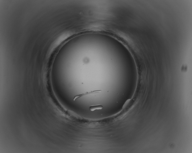 X0000096691410200802051335