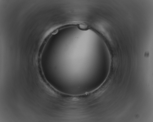 X0000096691412200802051335