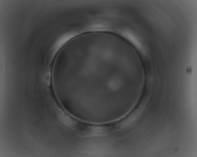 X0000096691413200802051335