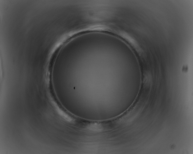 X0000096691414200802051335