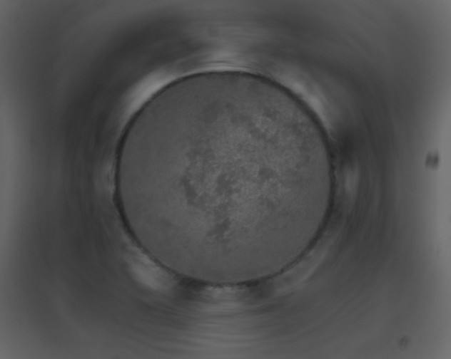 X0000096691415200802051335