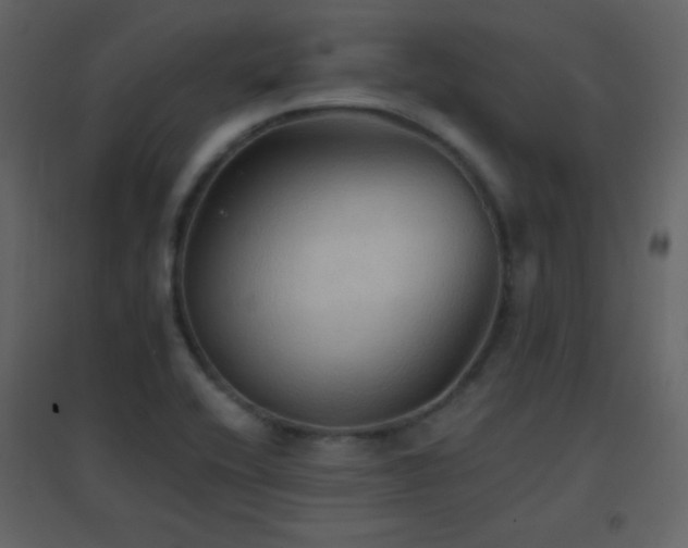 X0000096691416200802051335