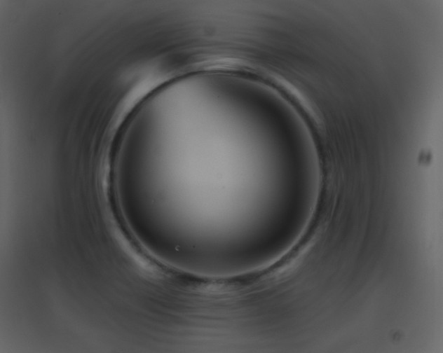X0000096691418200802051335