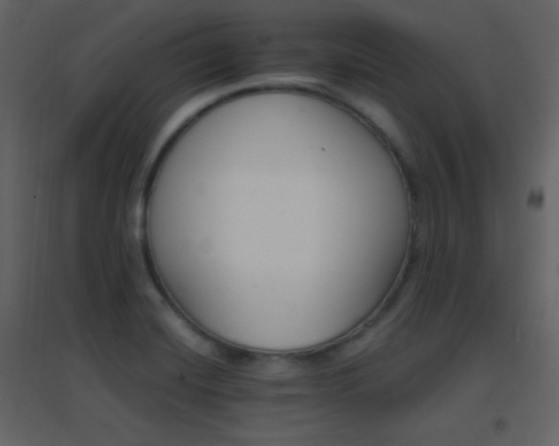 X0000096691420200802051335