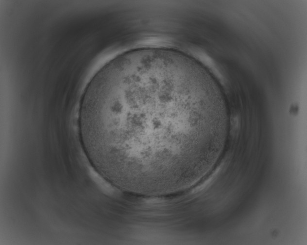 X0000096691421200802051335