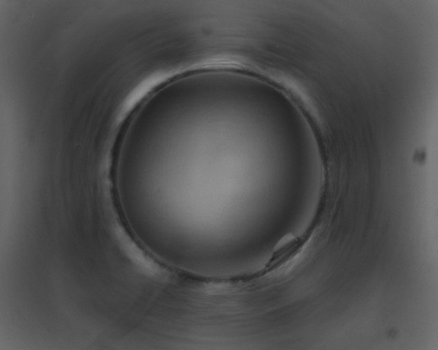 X0000096691422200802051335