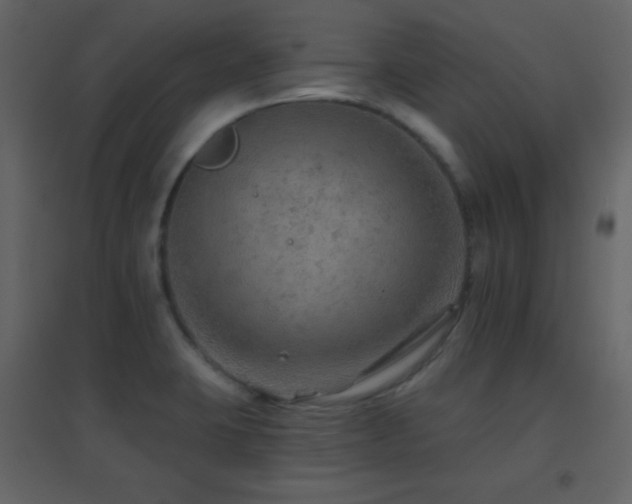 X0000096691423200802051335