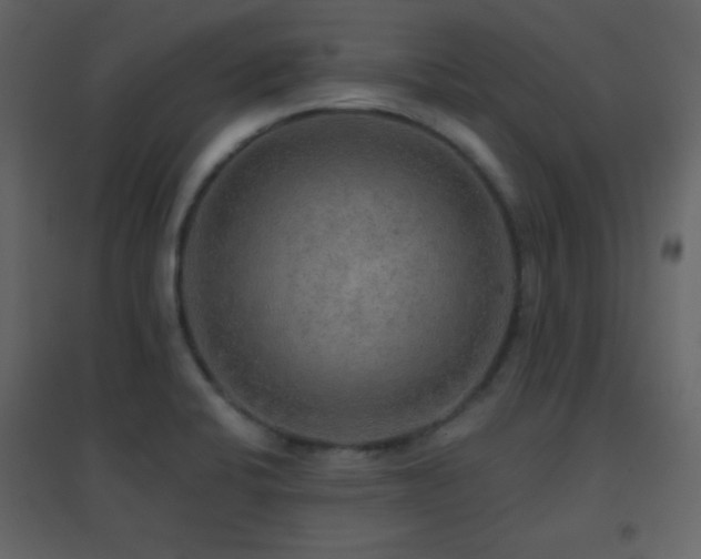 X0000096691424200802051335