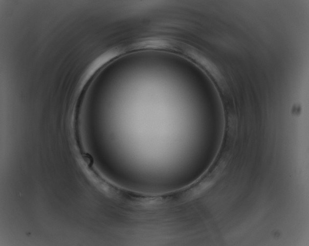 X0000096691426200802051335