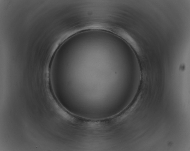 X0000096691428200802051335