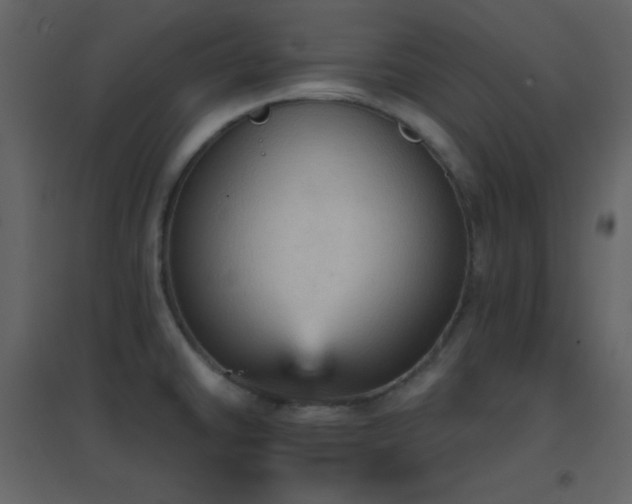 X0000096691430200802051335