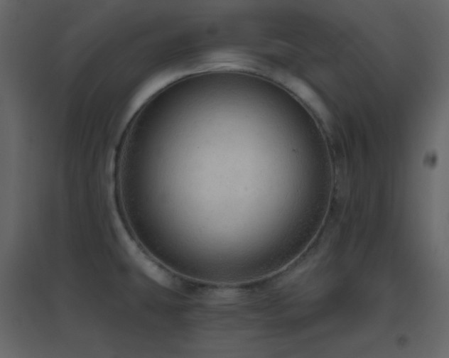 X0000096691431200802051335
