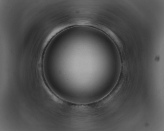 X0000096691432200802051335