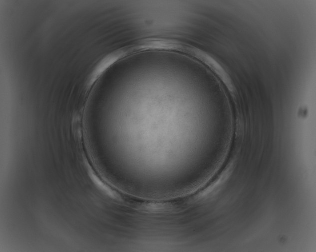 X0000096691433200802051335
