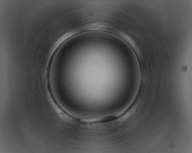 X0000096691434200802051335