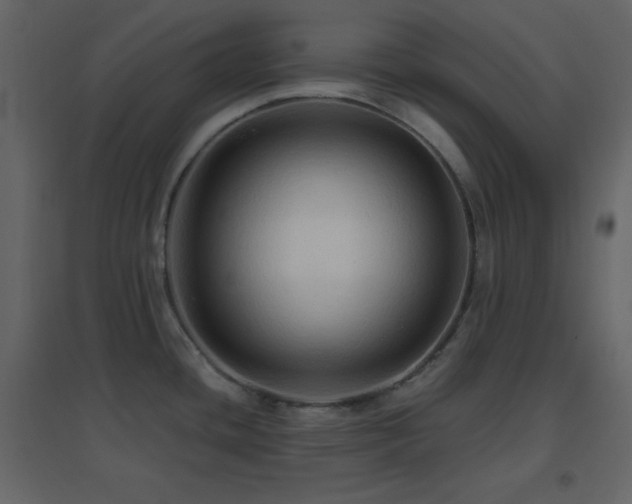 X0000096691436200802051335