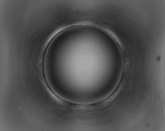 X0000096691438200802051335